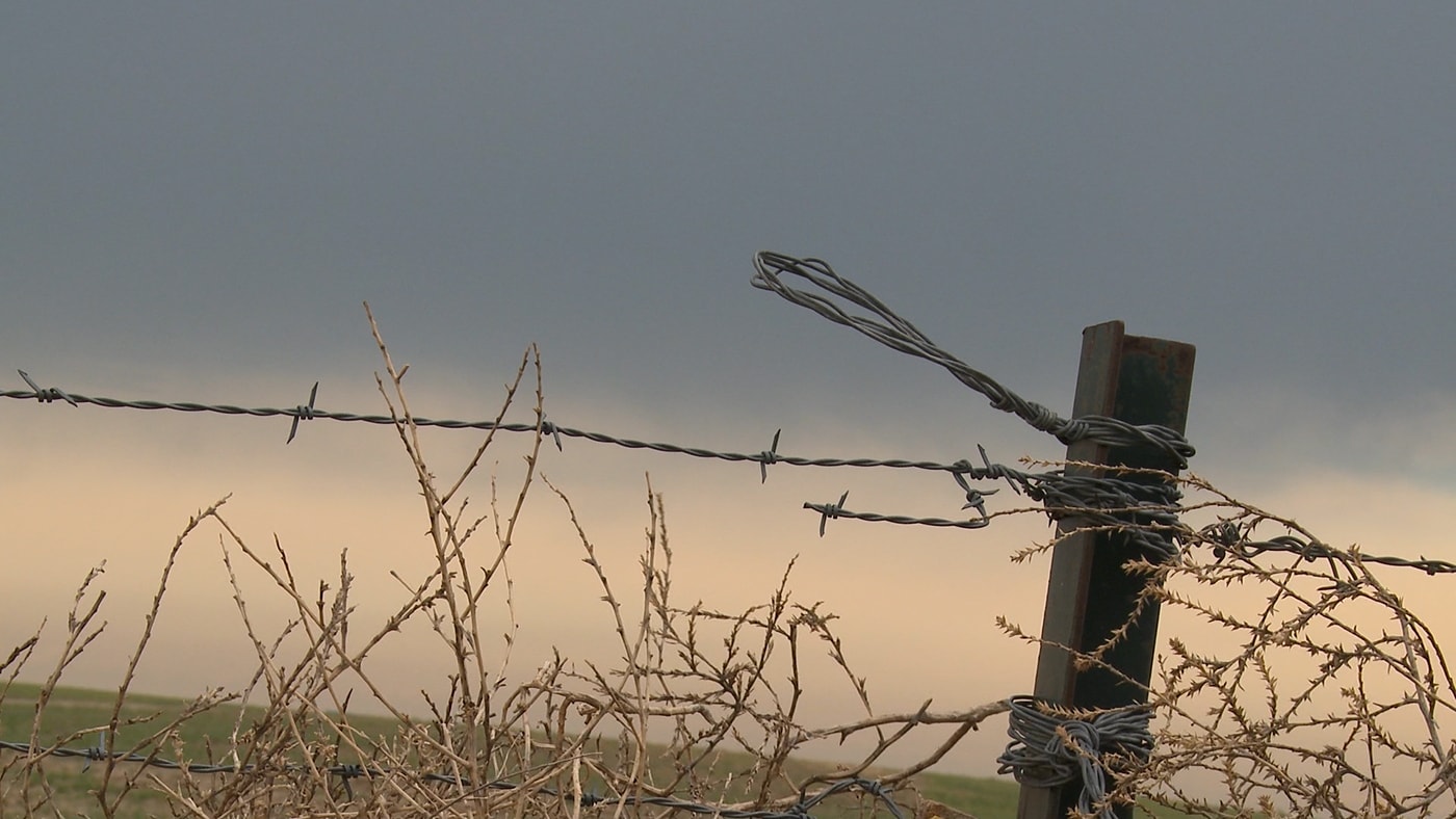 Barbed wire fence