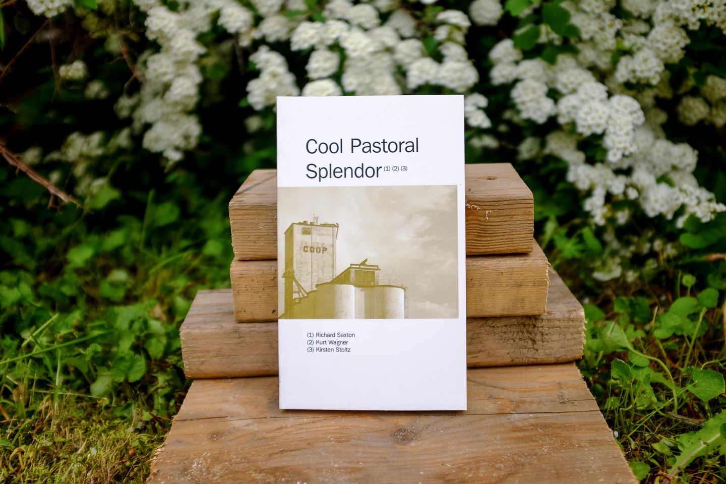 Cool Pastoral Splendor book