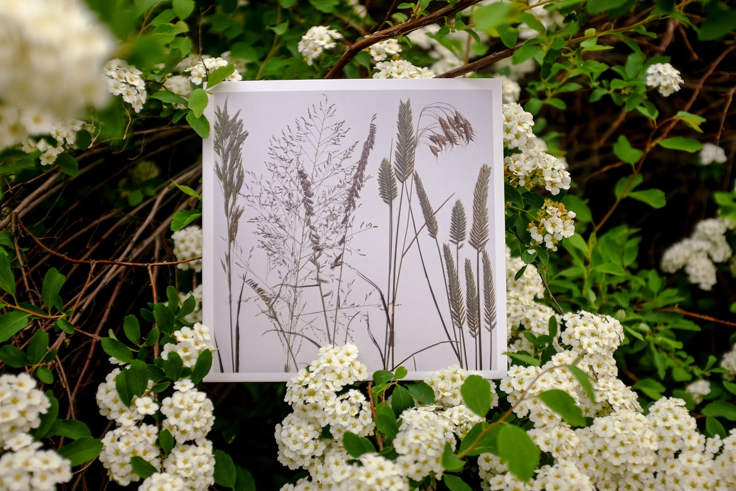 Future Rural Archive vinyl record