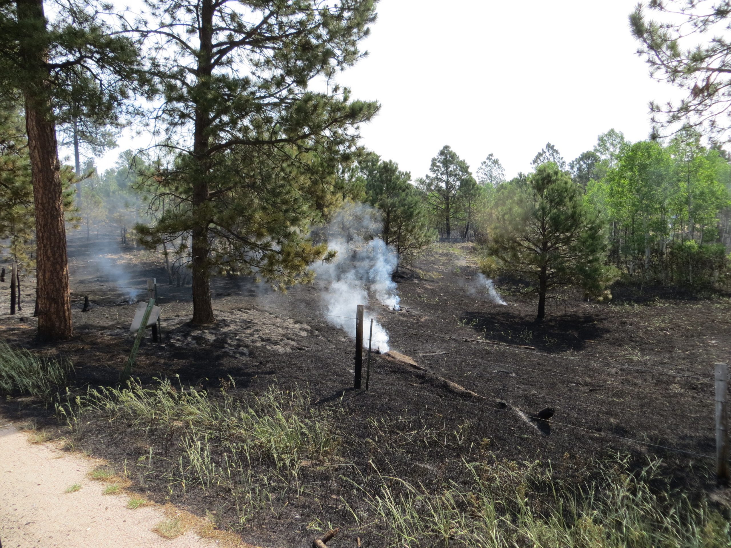 Smoldering earth left behind from the Black Forest Fire in 2013