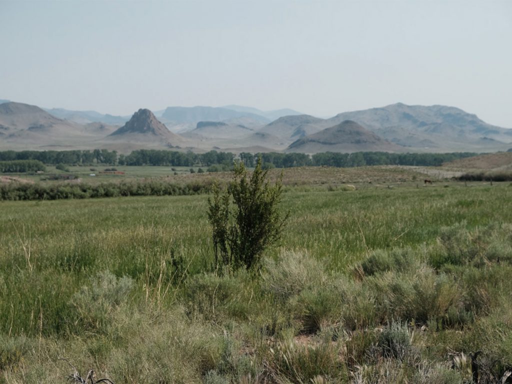 detail from Ten Invitations to the San Luis Valley